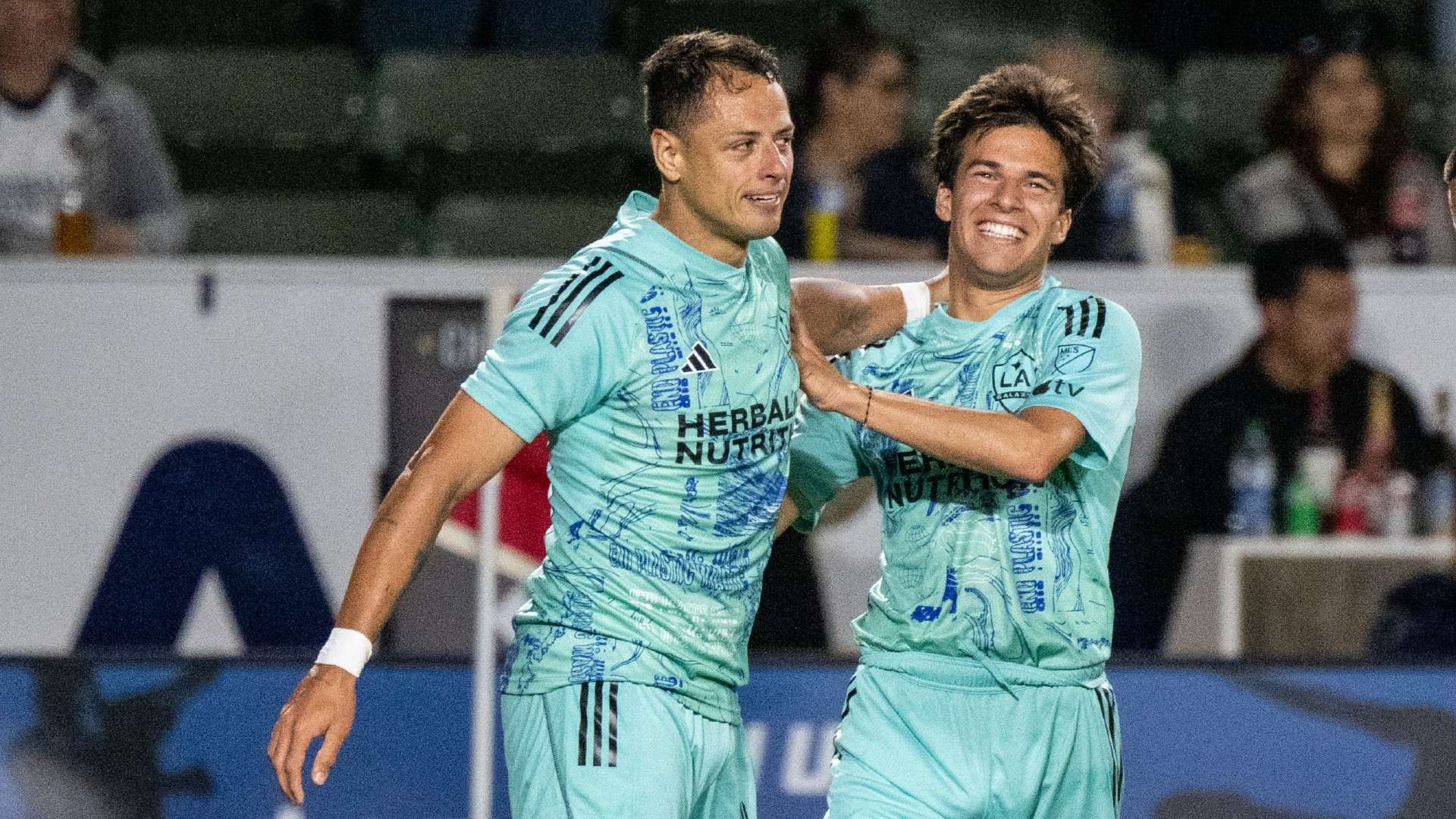 认为强势主 认为强势主