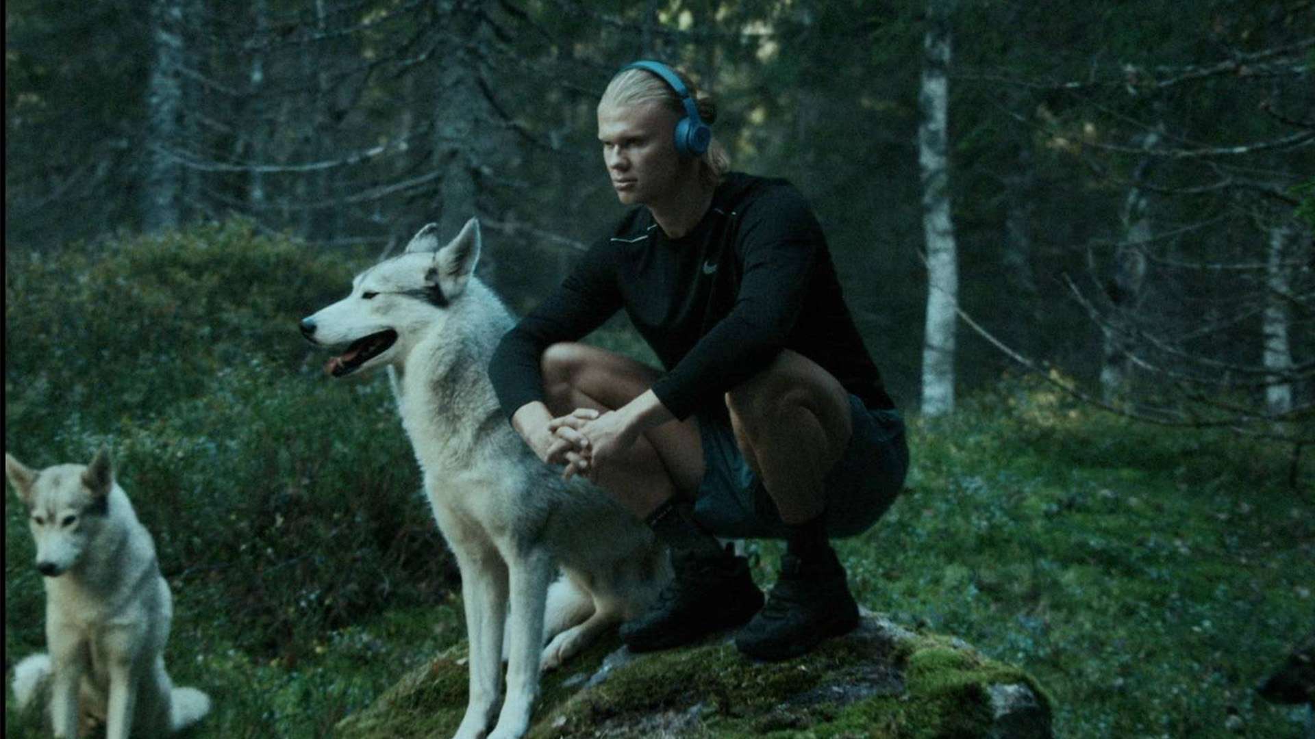 时机的绝佳 时机的绝佳